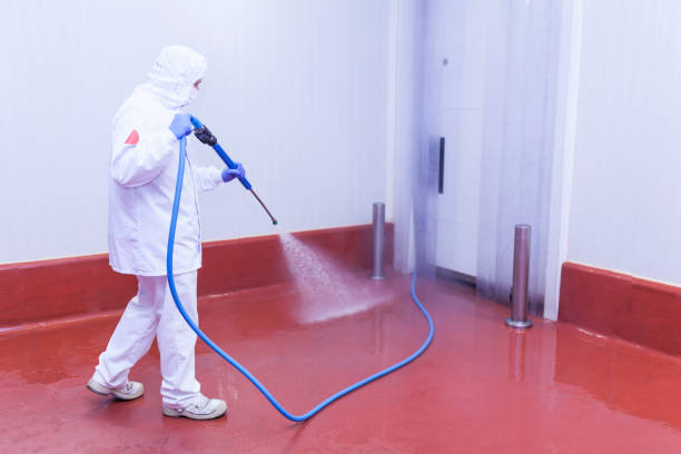 Best Deck and Patio Pressure Washing in Trainer, PA