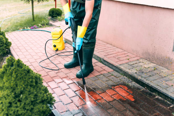 Best Driveway Cleaning and Restoration in Trainer, PA