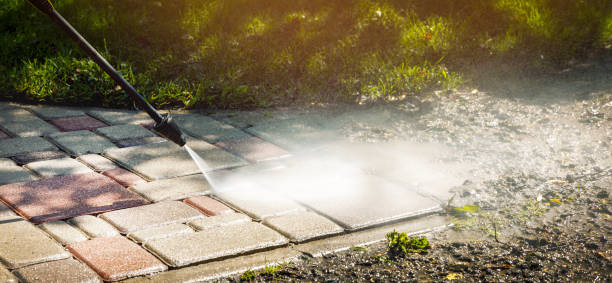 Best Building Exterior Pressure Washing in Trainer, PA